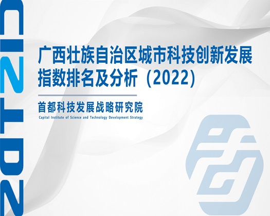 操逼电影a'v【成果发布】广西壮族自治区城市科技创新发展指数排名及分析（2022）